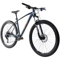 Lupo Forest 10 29´´ Sl-m4100/5100 Mtb Bike Gris 40
