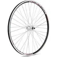 Gurpil Roue Arrière De Vtt Xm-1 7s 29´´ Tubeless