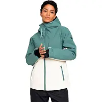 Roxy Winter Haven Jacket Vert M Femme