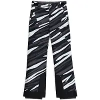 Spyder Olympia Pants Gris 10 Years Fille