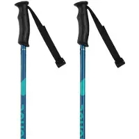 Rossignol Bâtons Electra