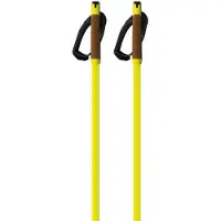 Fischer Storm Gtx S Poles Doré 170 cm