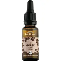 Biofloral 13 - Gorse - Ajonc - 20 ml 20 ml Goutte(S)