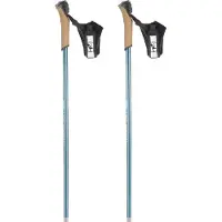 Rossignol Ft-600 Cork Poles Argenté 150 cm Homme