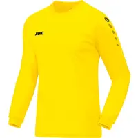 Jako Team Maillot À Manches Longues Hommes - Citron | Taille: S