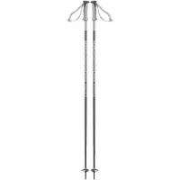Salomon Polar Poles Argenté 120 cm