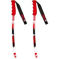 Vola Bâtons Junior Gs Alu