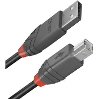 Lindy Anthra Line - Câble USB - USB (M) pour USB type B (M) - USB 2.0 - 5 m - rond - noir