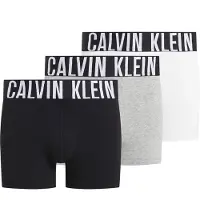 Calvin Klein Boxers 000nb3608a 3 Unités