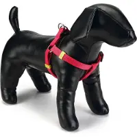 Beeztees Harnais Pour Chien Uni