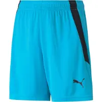 Puma Garçons, Bas de sport, short teamLIGA Jr-704931 (128), Bleu