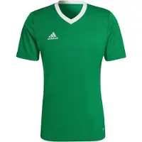 Adidas T-Shirt fonctionnel 'Entrada 22' vert gazon / blanc