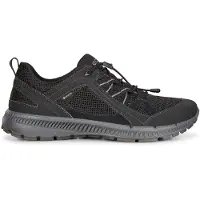 Ecco Chaussure basse 'Terracruise II' noir