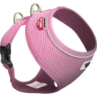 Curli Basic Geschirr Air-Mesh Pink XL