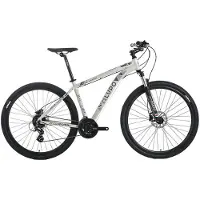 Lupo Raptor New Age 1 29´´ Mtb Bike Gris 54
