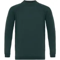 Dandalo Pull-over émeraude
