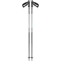 Salomon Polar Pro S3 Poles Argenté 120 cm