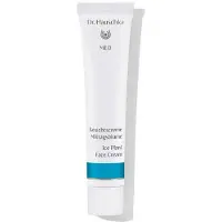 Dr. Hauschka Hauschka Med Crème visage aux épices, 40ml