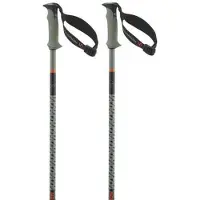 Salomon Polar Pro S3 Poles Argenté 100 cm