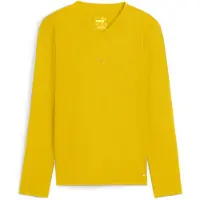 Puma teamGOAL Baselayer Tee LS