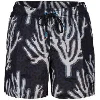 Arena Boxer natation