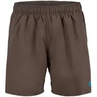 Arena Short de bain Fundamentals R