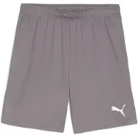 Puma Short Hommes Teamgoal - Gris