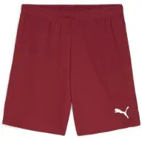 Puma Teamgoal Shorts Men - Bordeaux