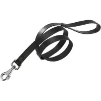 Ferplast Laisse Pour Chien Cuero Natural 20 Mm 120 Cm