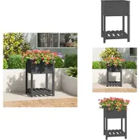 vidaXL Jardinière avec étagère Gris 54x54x81 cm Bois massif de pin