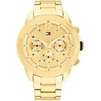 Tommy Hilfiger TH1792060 - Lars - Montre
