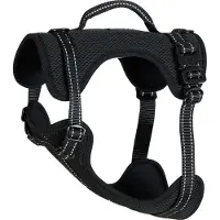 FIR-TECH Elements pour chiens 2.0 Sort 45-60cm (S, Chien)