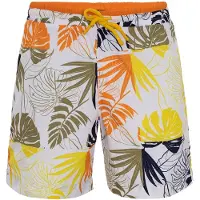 Daniel Hills Shorts de bain