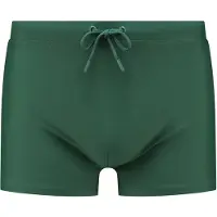 Shiwi Maillot de bain vert