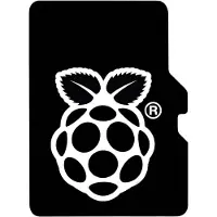 Raspberry Carte mémoire Pi microSDXC, A2, Class 10, U3, 64 Go