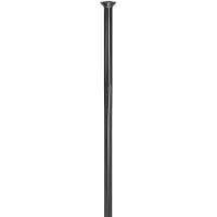 Dt Swiss , rayons Revolite 2.0x1.3x282 mm, boîte de 20 pièces, noirs, à tirage droit.