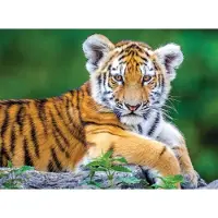 Nathan pièces XXL - Tigre - 150 pièces