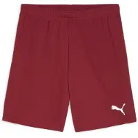 Puma Teamgoal Shorts Men - Bordeaux