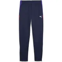 Puma Garçons, Bas de sport, IndividualLIGA Training Pants Jr (176), Bleu