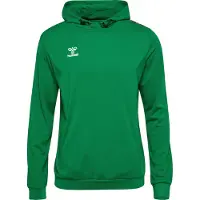 Hummel Sweat de sport 'Authentic PL' vert foncé / blanc