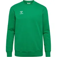 Hummel Sweat de sport 'GO 2.0' vert gazon / blanc