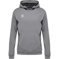 Hummel Sweat de sport 'Authentic PL' gris / blanc