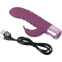 Elegant Series - Rabbit Vibe - vibromasseur point G rechargeable avec stimulateur de clitoris (violet)