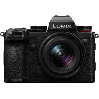 Panasonic LUMIX S5D + 18-40mm F/4.5-6.3