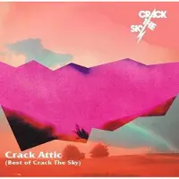 Import Crack Attic The Best Of Crack The Sky
