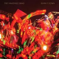 Bertus Distributie Trey Anastasio - Burn It Down (Live) [Vinyl] Colored Vinyl, Orange