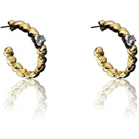 CHIARA FERRAGNI J19avt03 Earrings Doré Femme