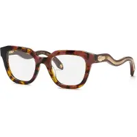 Roberto Cavalli Vrc071 Woman Glasses Doré Femme