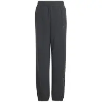 Adidas Pantalon All Szn Graphic