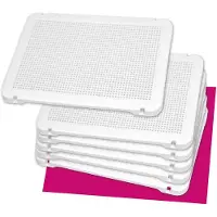 Miniland Pegs 6 Plates Clair Enfants